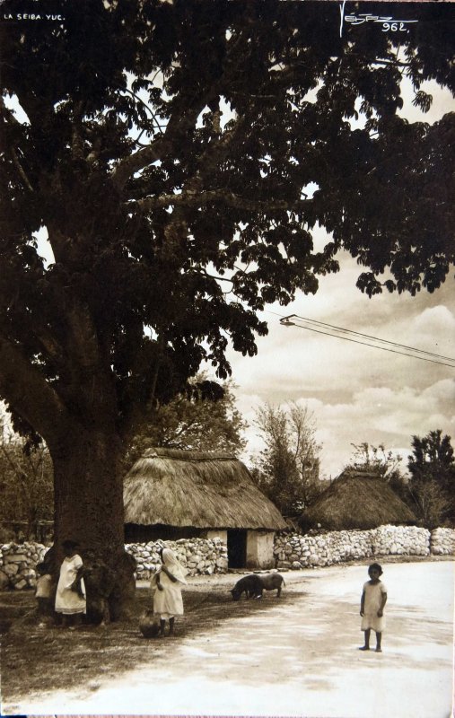 Fotos de La Ceiba, Yucatán: Escena Callejera