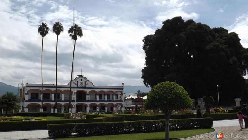 Fotos de Santa María Del Tule, Oaxaca: Palacio Municipal de Santa María del Tule. Julio/2014