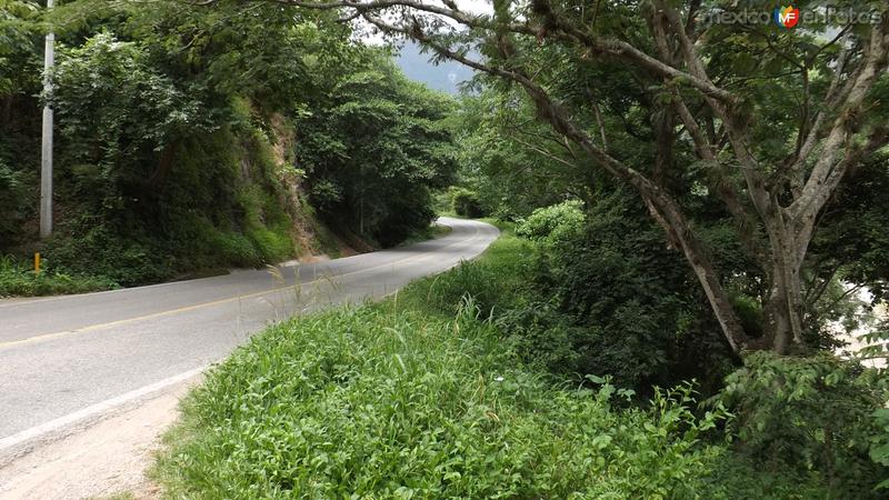 Fotos de Frontera Comalapa, Chiapas: Carretera a Motozintla. Julio/2014