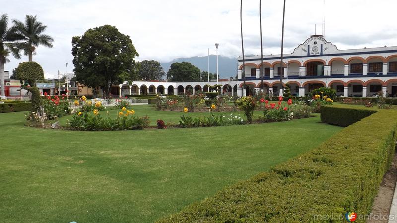 Fotos de Santa María Del Tule, Oaxaca: Parque central y Palacio Municipal. Julio/2014