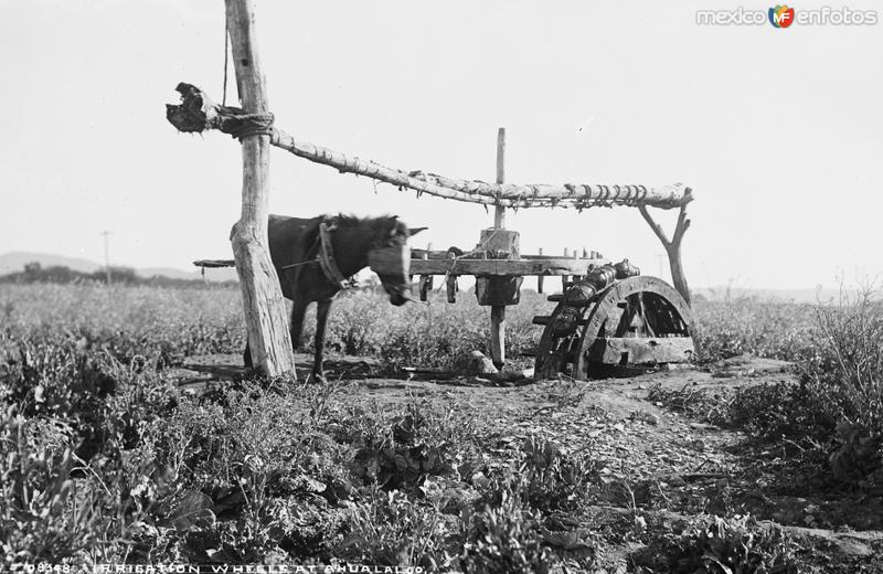 Fotos de Ahualulco, San Luis Potosí: Rueda de Irrigación (por William Henry Jackson, c. 1888)