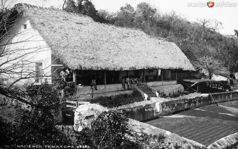 Fotos de Tamasopo, San Luis Potosí: Hacienda en Tamasopo (por William Henry Jackson, c. 1888)