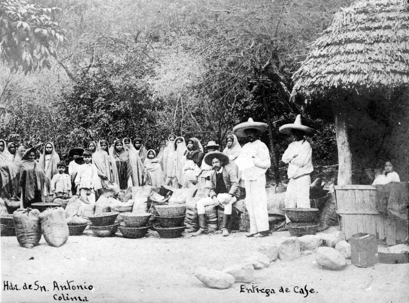 Fotos de Comala, Colima: Entrega de café en la Hacienda de San Antonio