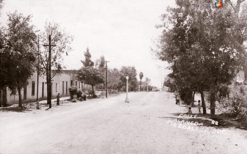 Fotos de Magdalena De Kino, Sonora: Calle Alameda