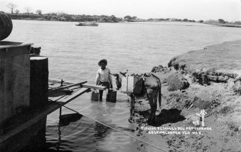 Fotos de Cosamaloapan, Veracruz: Aguador en el Río Papaloapan