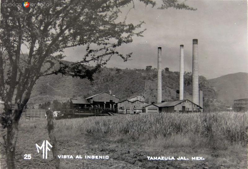 Fotos de Tamazula De Gordiano, Jalisco: INGENIO AZUCARERO