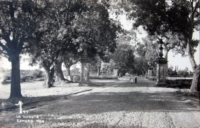 Fotos de Zamora, Michoacan: PANORAMA LA LUNETA