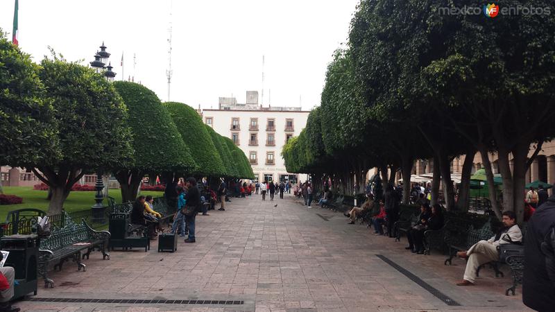 Fotos de León, Guanajuato: En el Centro de León