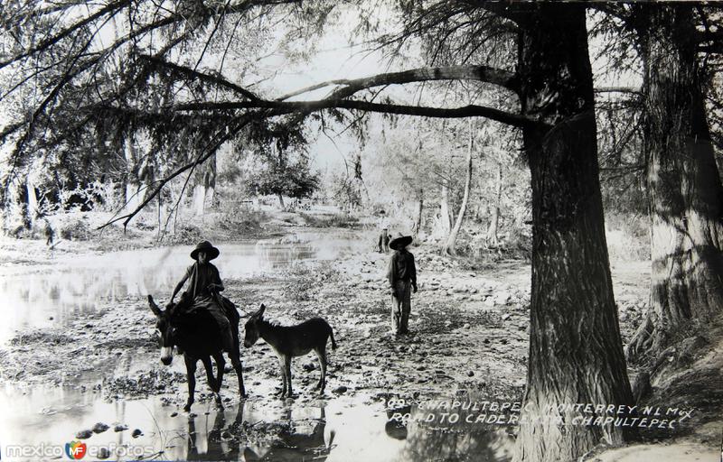 Fotos de Cadereyta, Nuevo León: CAMINO A CADEREYTA