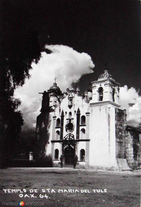 Fotos de Santa María Del Tule, Oaxaca: TEMPLO PANORAMA