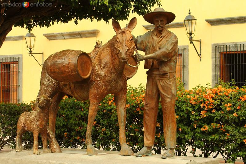 Fotos de Tequila, Jalisco: TEQUILA 2015