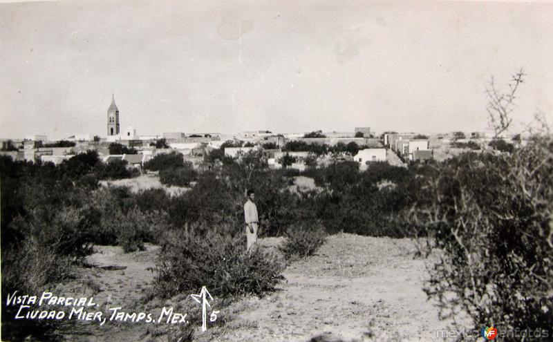 Fotos de Ciudad Mier, Tamaulipas: PANORAMA