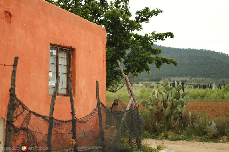 Fotos de Arteaga, Coahuila: PASEANDO POR EL MUNICIPIO DE ARTEAGA.......2015