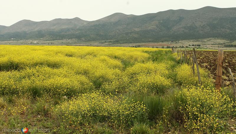 Fotos de Arteaga, Coahuila: PASEANDO POR EL MUNICIPIO DE ARTEAGA.......2015