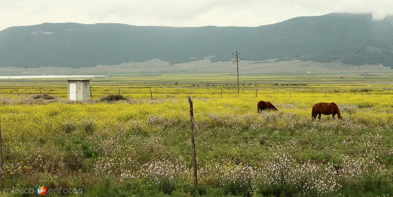 Fotos de Arteaga, Coahuila: PASEANDO POR EL MUNICIPIO DE ARTEAGA.......2015