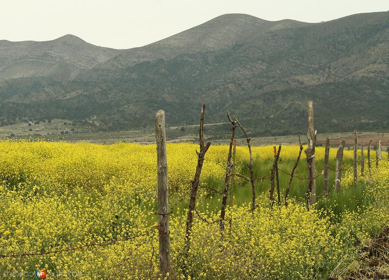 Fotos de Arteaga, Coahuila: PASEANDO POR EL MUNICIPIO DE ARTEAGA......2015