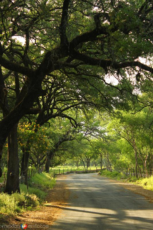 Fotos de Santiago, Nuevo León: POR LOS CAMINOS DE SANTIAGO