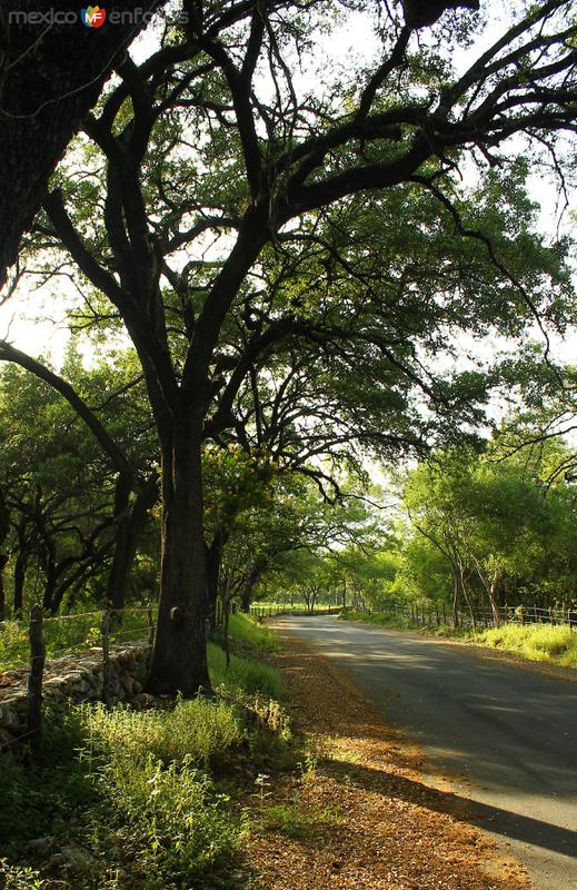 Fotos de Santiago, Nuevo León: POR LOS CAMINOS DE SANTIAGO