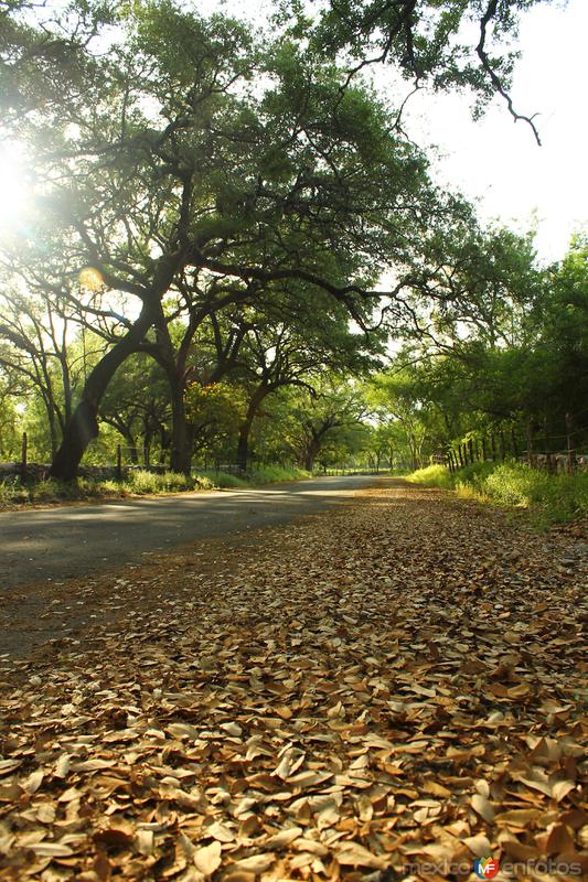 Fotos de Santiago, Nuevo León: POR LOS CAMINOS DE SANTIAGO