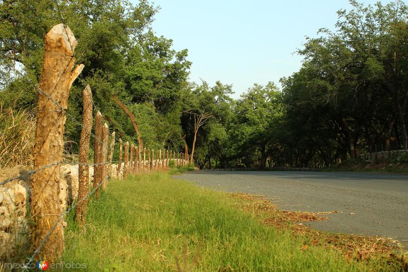 Fotos de Santiago, Nuevo León: POR LOS CAMINOS DE SANTIAGO