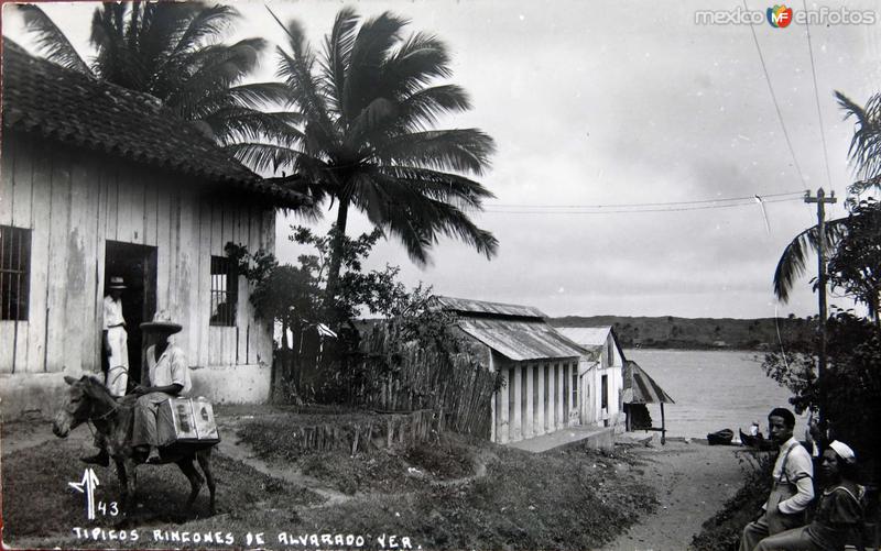 Fotos de Alvarado, Veracruz: RINCONES TIPICOS