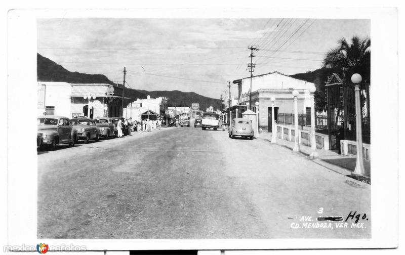 Fotos de Ciudad Mendoza, Veracruz: Avenida Hidalgo