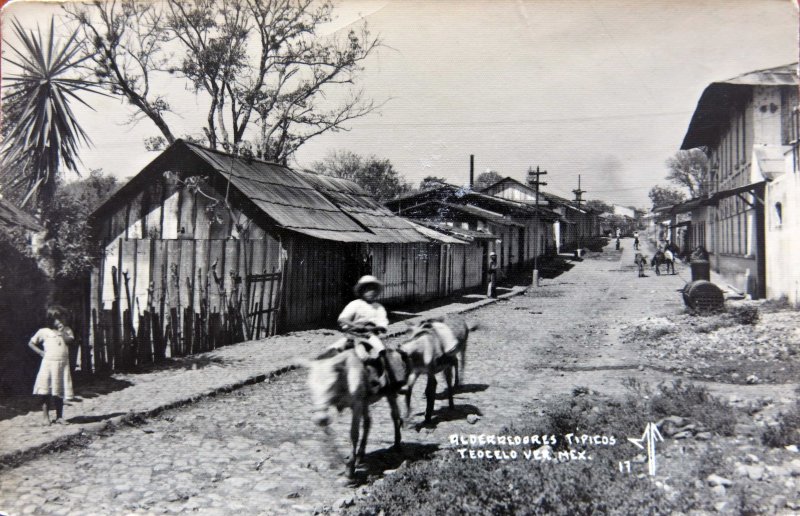 Fotos de Teocelo, Veracruz: ALREDEDORES TIPICOS