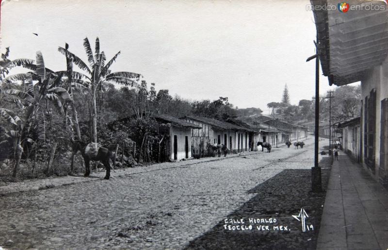 Fotos de Teocelo, Veracruz: CALLE HIDALGO