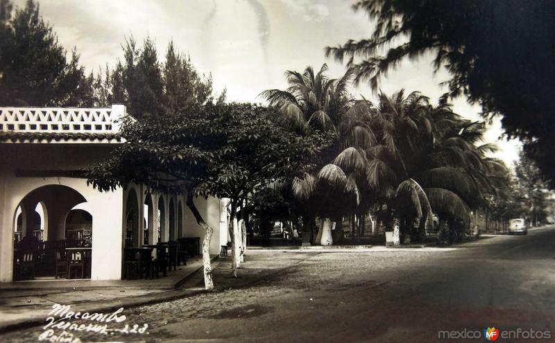 Fotos de Boca Del Rio, Veracruz: ESCENA CALLEJERA MOCAMBO