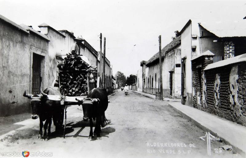 Fotos de Rioverde, San Luis Potosí: Alrededores TIPICOS DETALLES