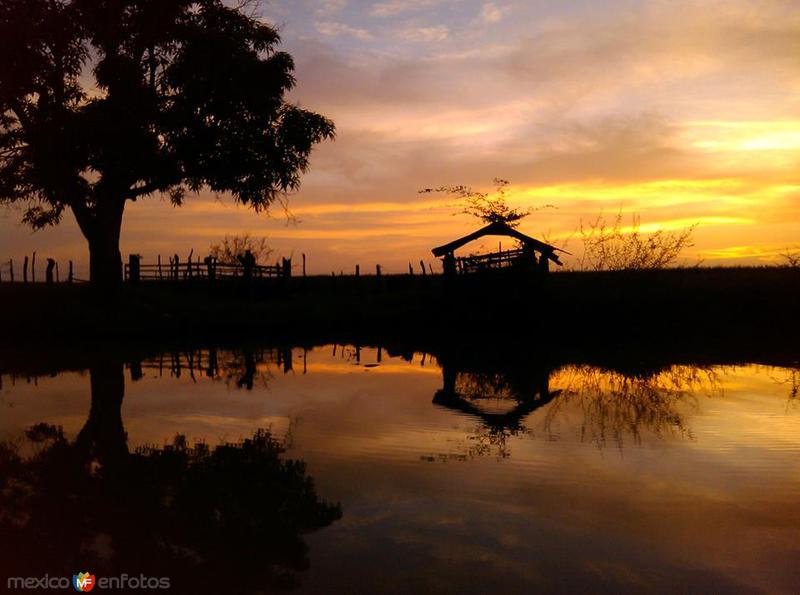 Fotos de Altamira, Tamaulipas: Rio Tamesi