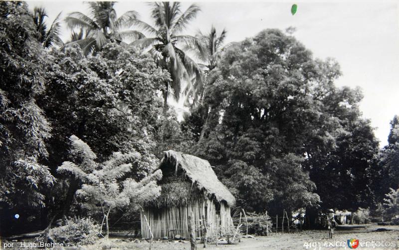 Fotos de La Antigua, Veracruz: ESCENA CAMPIRANA por el fotografo Hugo Brehme