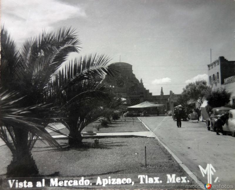 Fotos de Apizaco, Tlaxcala: Vista al Mercado