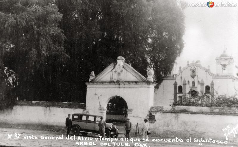 Fotos de Santa María Del Tule, Oaxaca: Vista general del atrio y templo donde se encuentra el Arbol del Tule