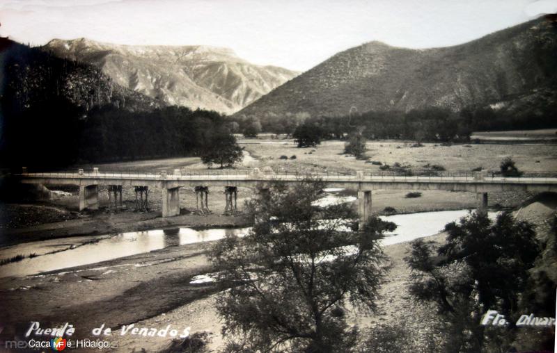 Fotos de Cacalomé, Hidalgo: Puente de Venados