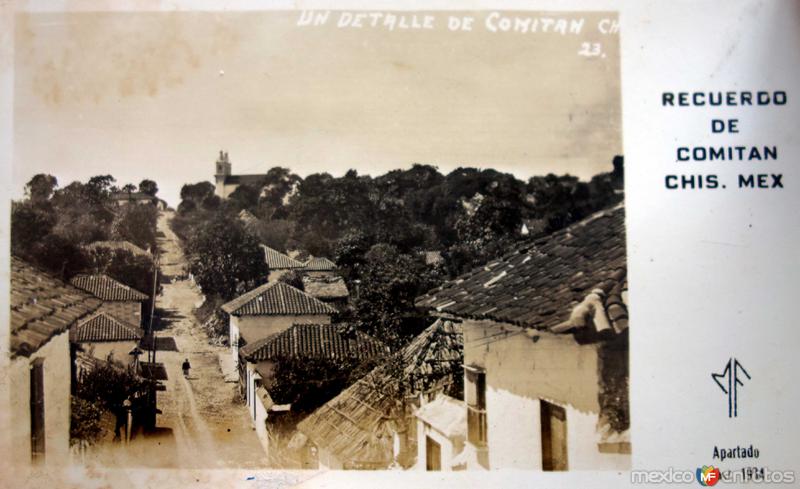 Fotos de Comitán, Chiapas: Panoramica Un detalle