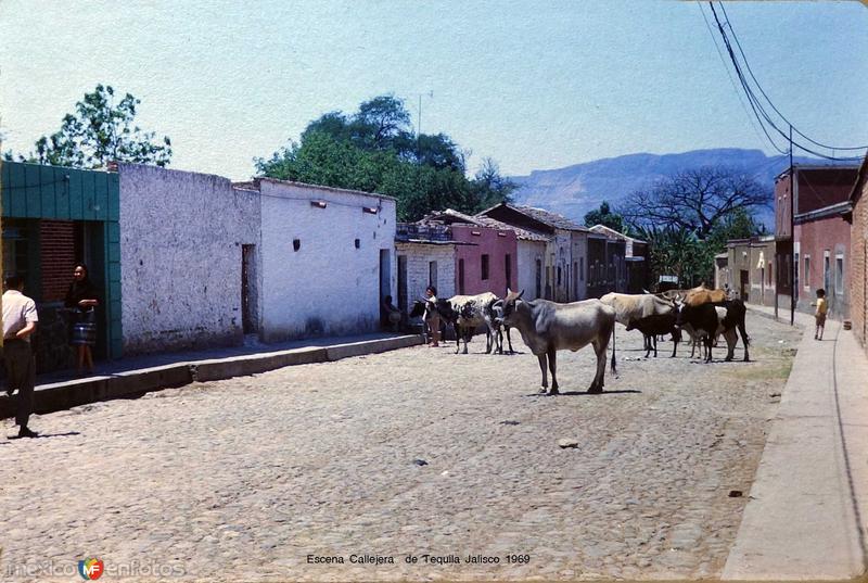 Fotos de Tequila, Jalisco: Escena Callejera de Tequila Jalisco 1969