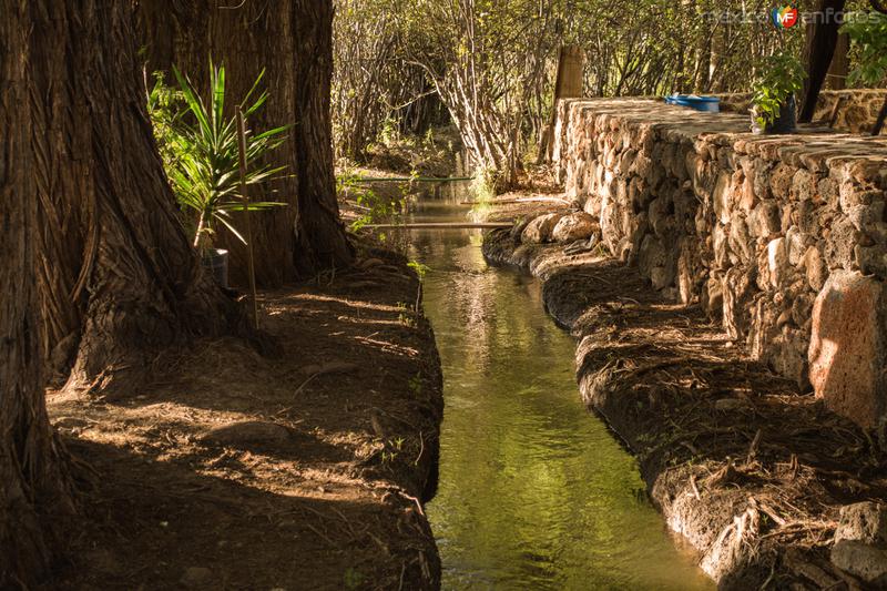 Fotos de Nombre De Dios, Durango: Nixtalpa