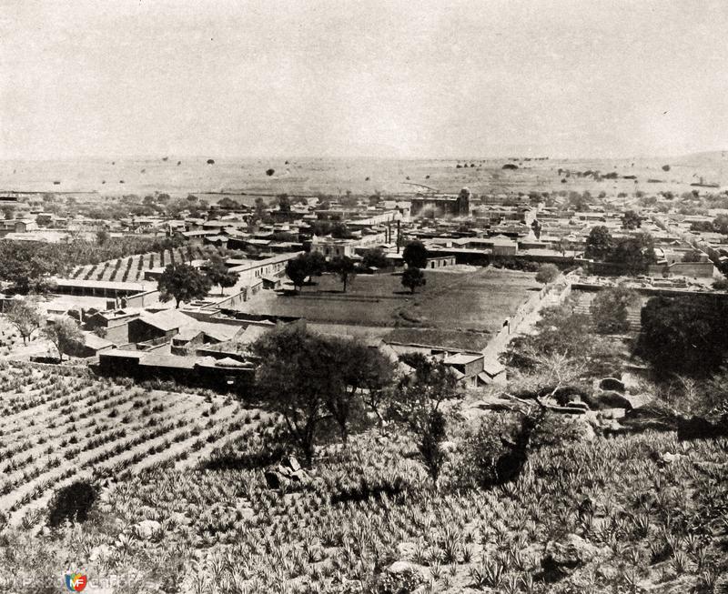 Fotos de Tequila, Jalisco: Vista Panorámica de Tequila