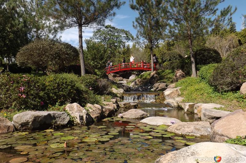 Fotos de Tehuixtla, Morelos: Puente y cascada del Jardín Japones. Noviembre/2016