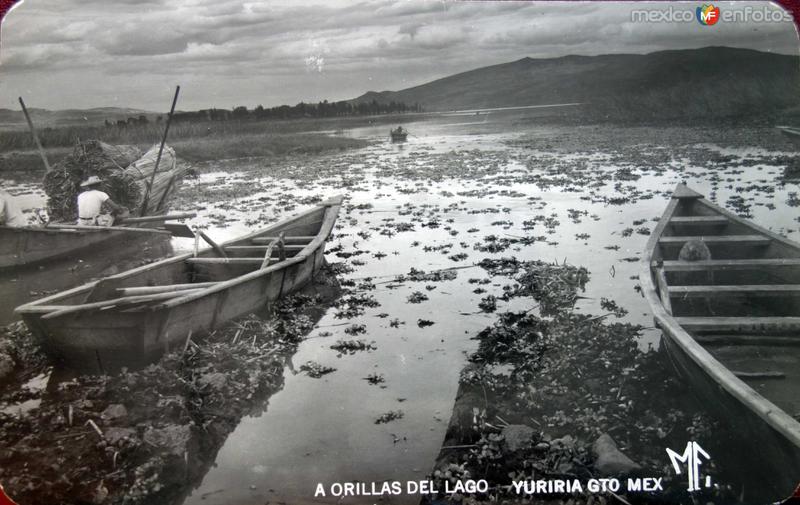 Fotos de Yuriria, Guanajuato: A Orillas del Lago