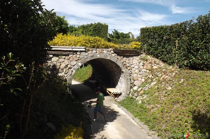 Fotos de Tehuixtla, Morelos: El laberinto de los Jardines de México. Noviembre/2016