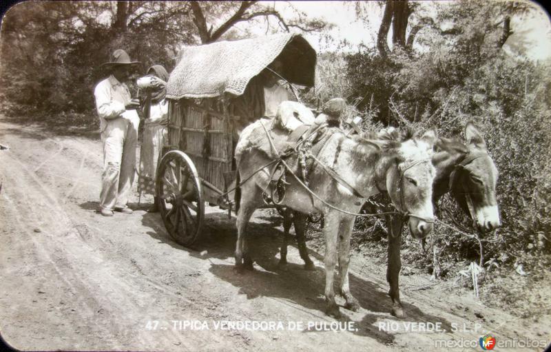 Fotos de Rioverde, San Luis Potosí: Tipos Mexicanos tipica Vendedora de Pulque.