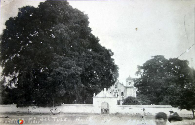 Fotos de Santa María Del Tule, Oaxaca: El Arbol.