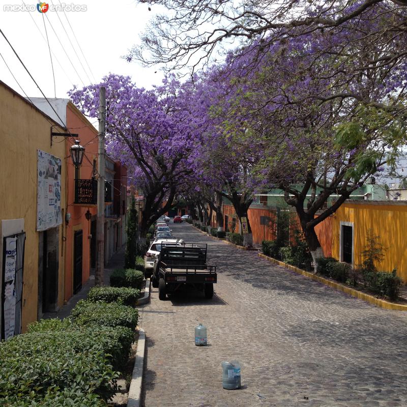 Fotos de Tlaxcala, Tlaxcala: Centro Histórico de Tlaxcala. Abril/2017