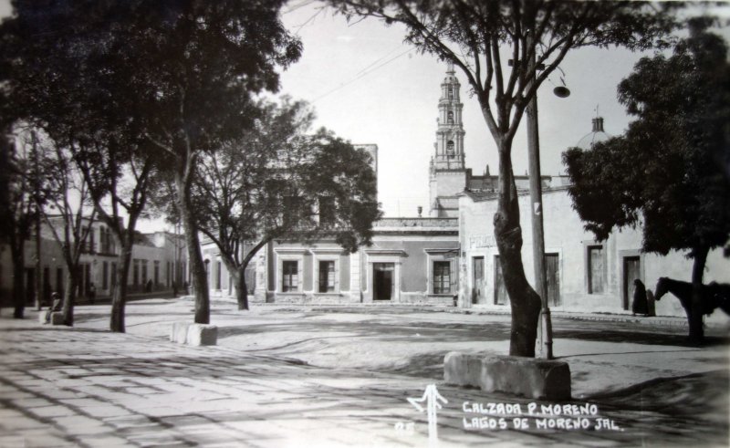 Fotos de Lagos De Moreno, Jalisco: Calzada Pedro Moreno.