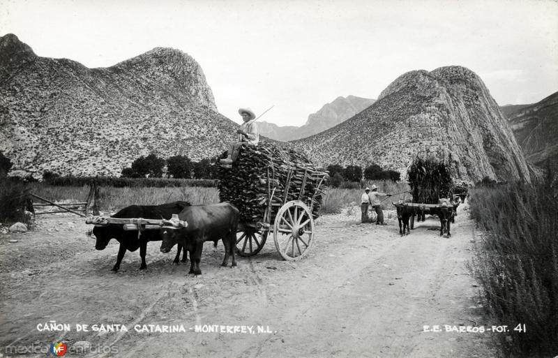 Fotos de Santa Catarina, Nuevo León: Cañón de Santa Catarina