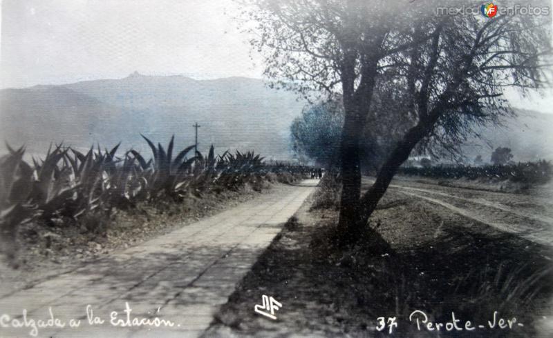 Fotos de Perote, Veracruz: Calzada a la Estacion.