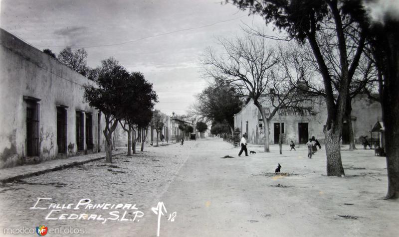 Fotos de Cedral, San Luis Potosí: Calle principal.