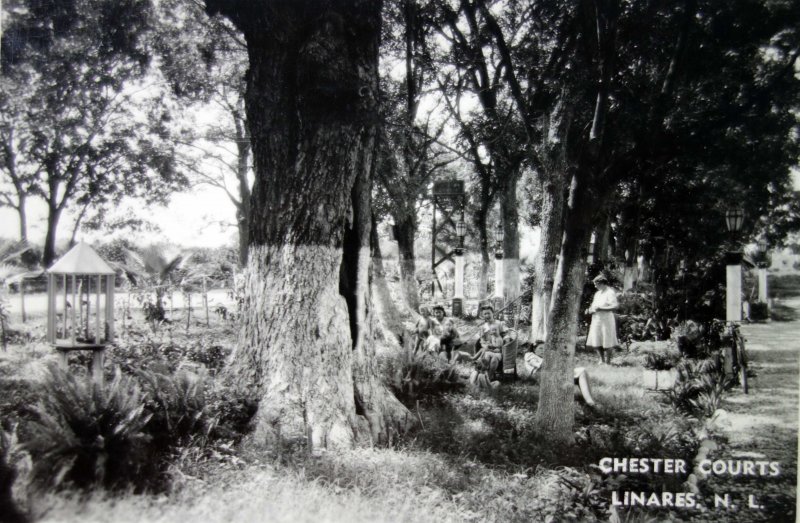 Fotos de Linares, Nuevo León: Chester Courts.